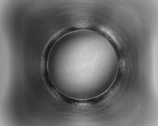 X0000096630400200802051111