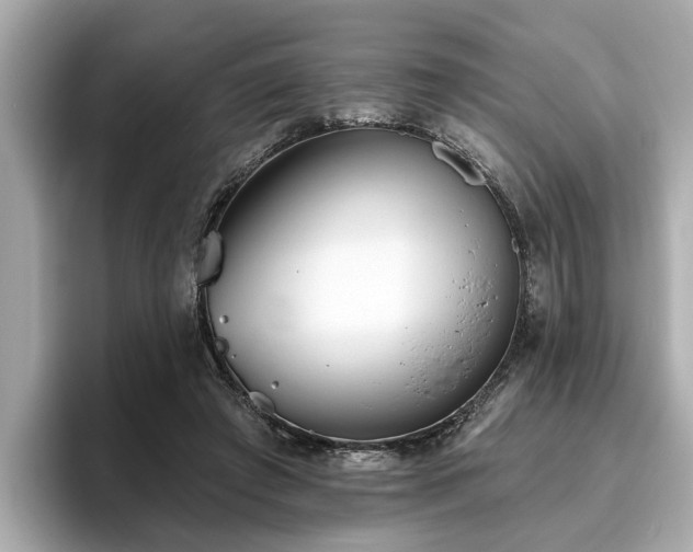 X0000096630401200802051111