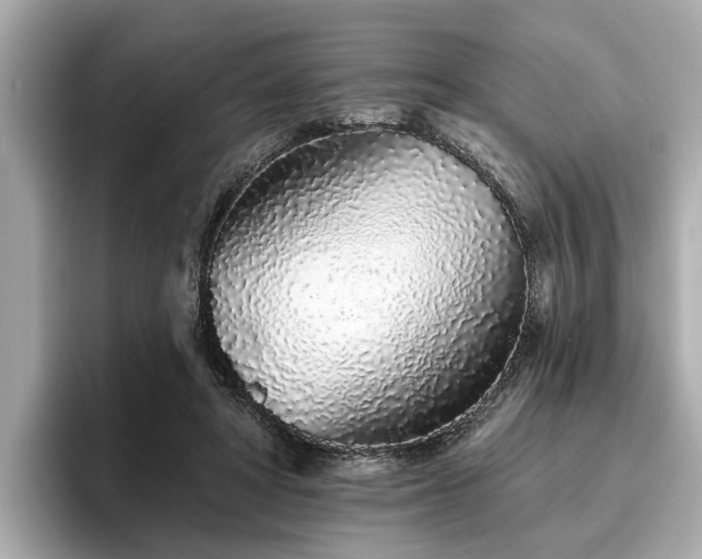 X0000096630402200802051111