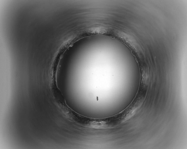 X0000096630403200802051111