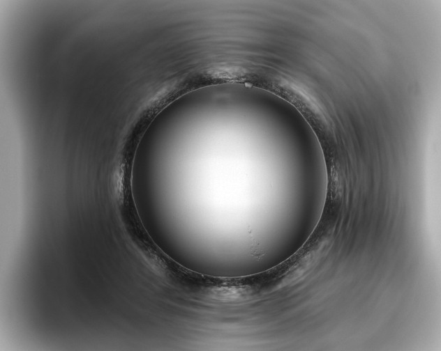 X0000096630404200802051111