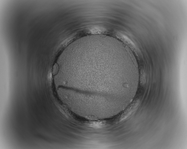 X0000096630405200802051111