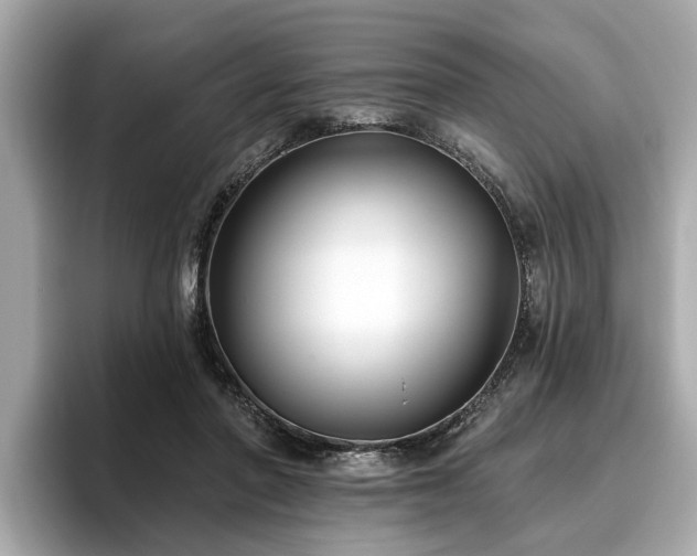 X0000096630406200802051111