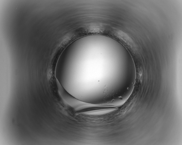 X0000096630407200802051111