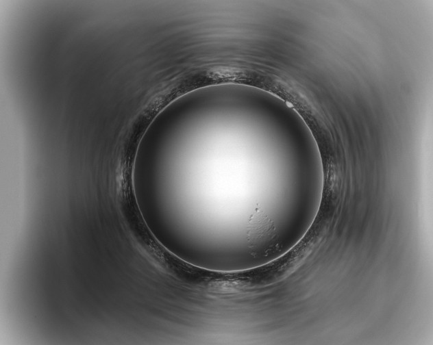 X0000096630408200802051111
