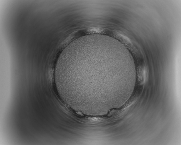 X0000096630409200802051111