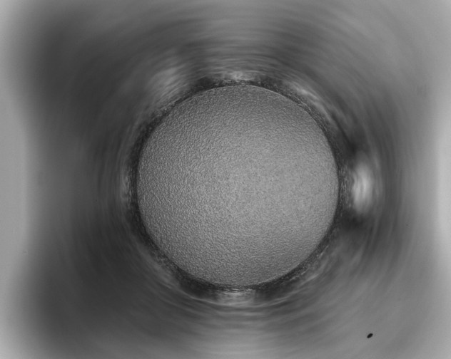 X0000096630410200802051111