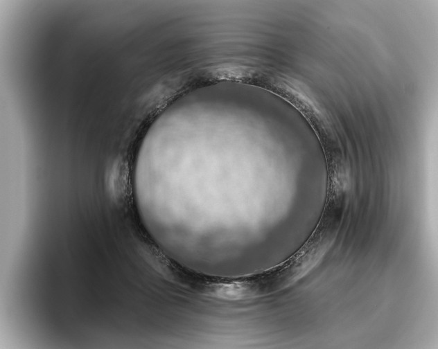 X0000096630411200802051111