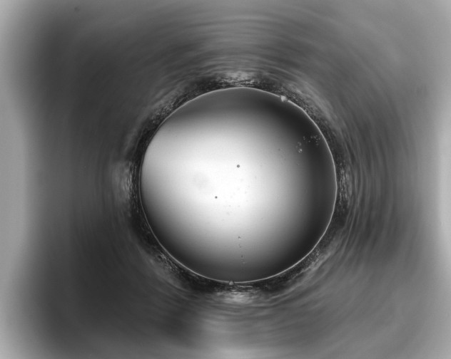 X0000096630412200802051111