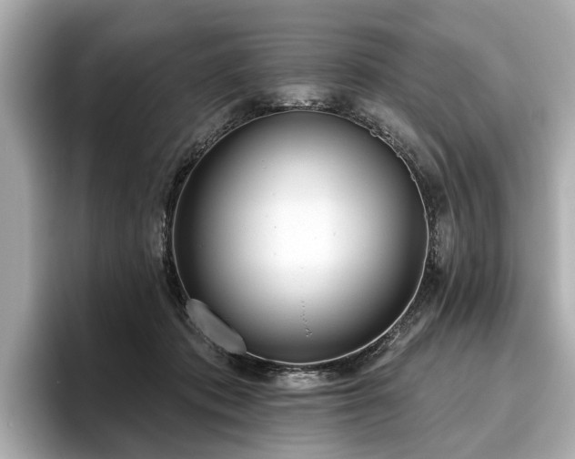 X0000096630413200802051111