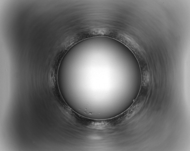 X0000096630414200802051111