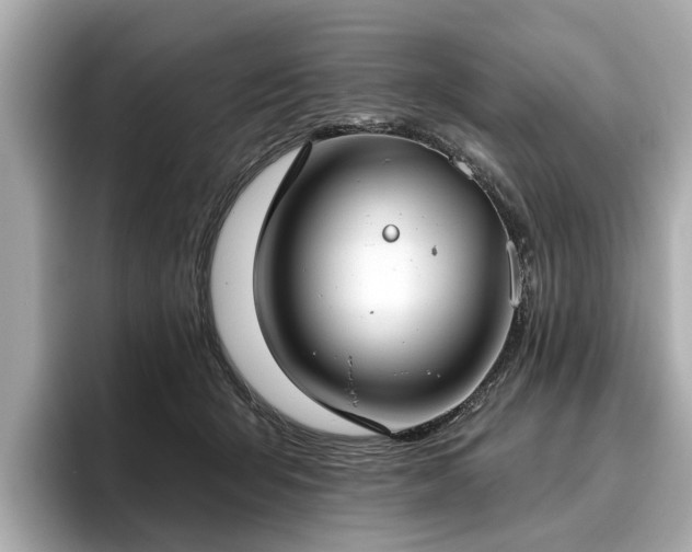 X0000096630415200802051111