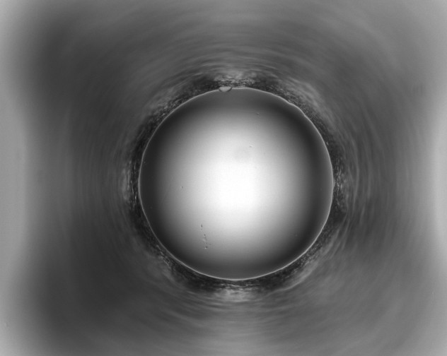 X0000096630416200802051111
