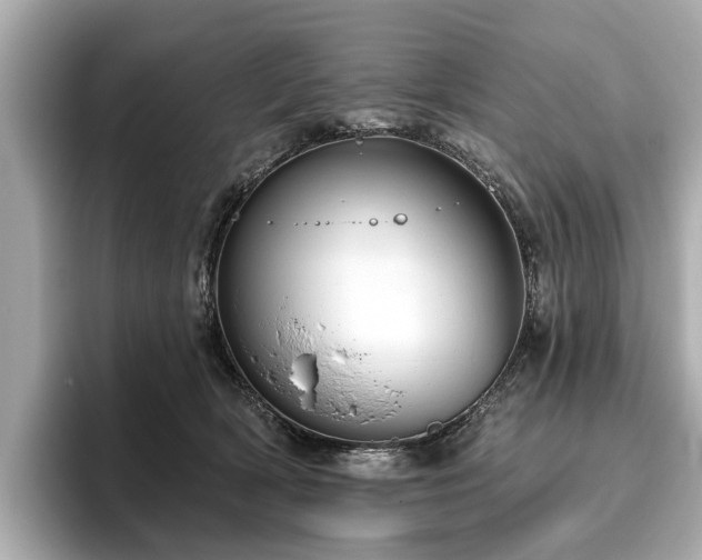 X0000096630418200802051111