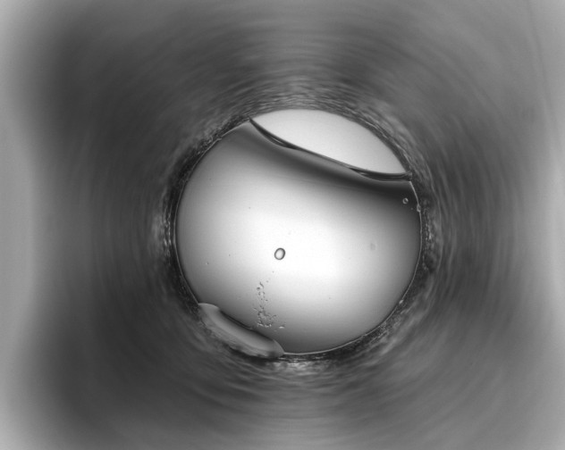 X0000096630419200802051111