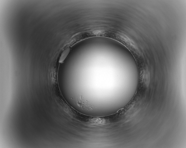 X0000096630421200802051111