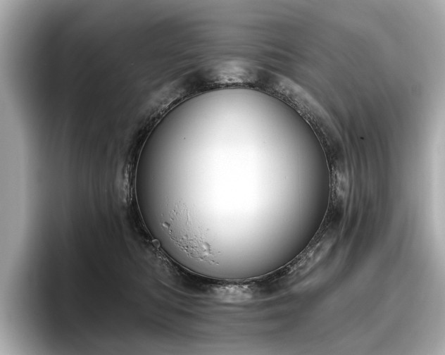 X0000096630422200802051111