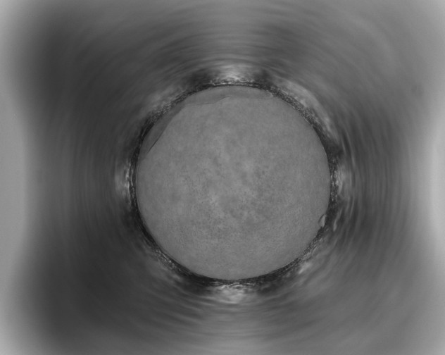X0000096630423200802051111