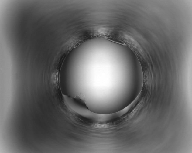 X0000096630425200802051111
