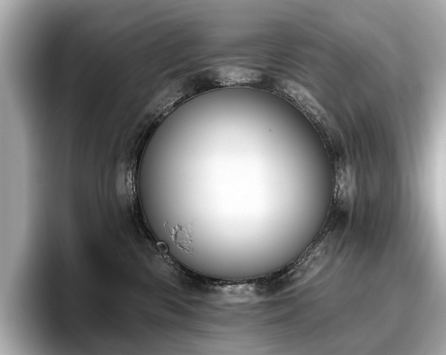 X0000096630426200802051111