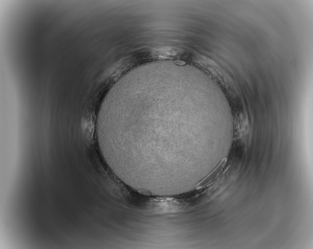 X0000096630427200802051111