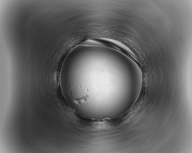 X0000096630428200802051111