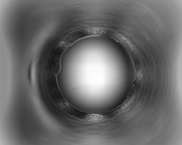 X0000096630429200802051111