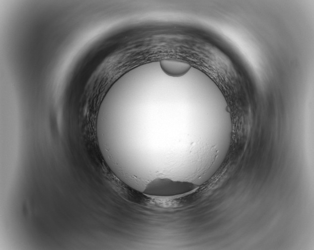X0000096630431200802051111
