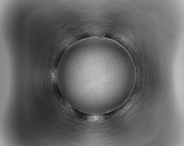 X0000096630432200802051111