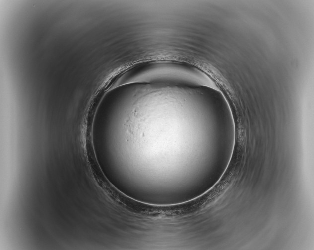 X0000096630434200802051110