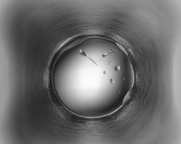 X0000096630436200802051110
