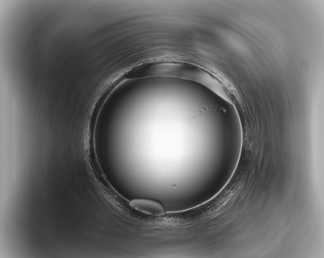 X0000096630437200802051110