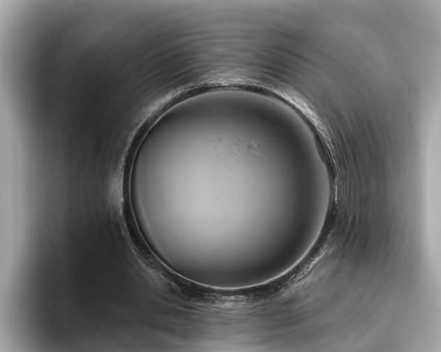 X0000096630438200802051110