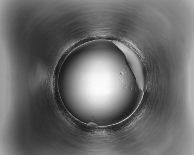 X0000096630439200802051110