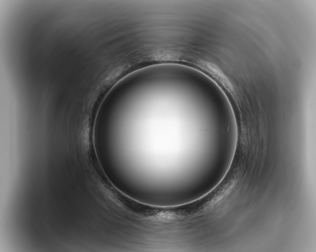 X0000096630441200802051110