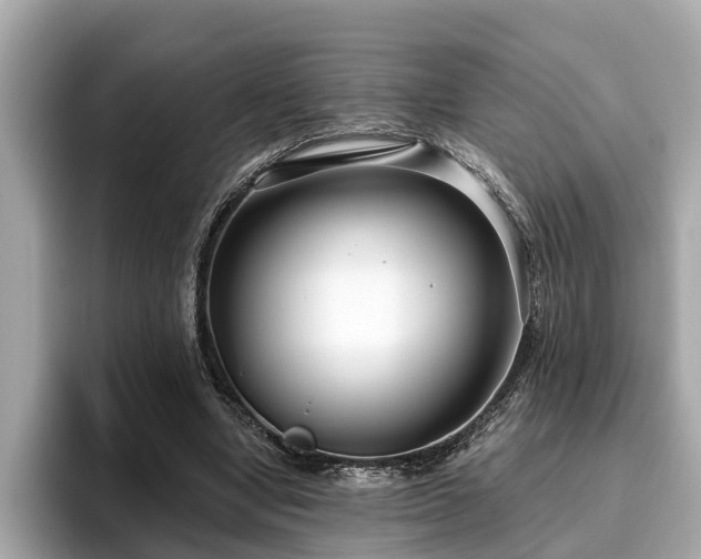X0000096630442200802051110