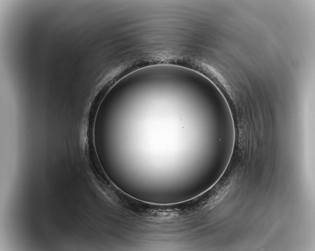 X0000096630443200802051110