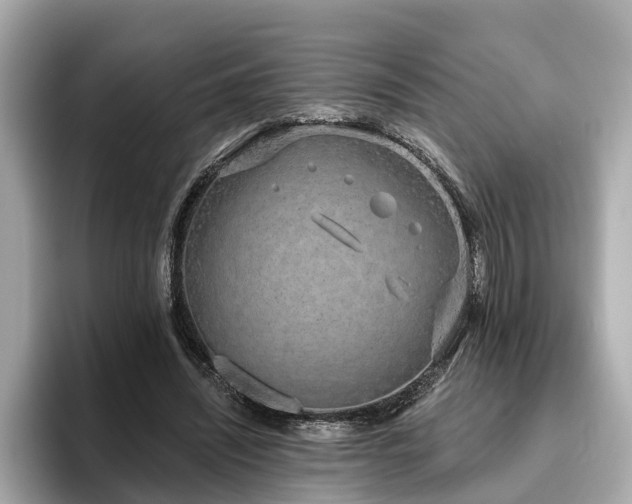 X0000096630444200802051110
