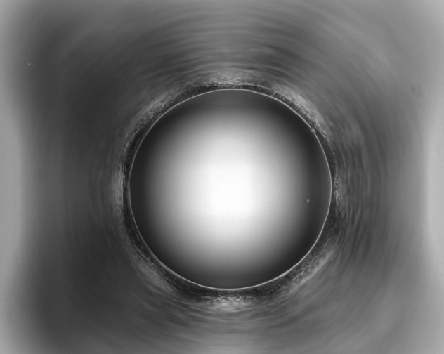 X0000096630445200802051110