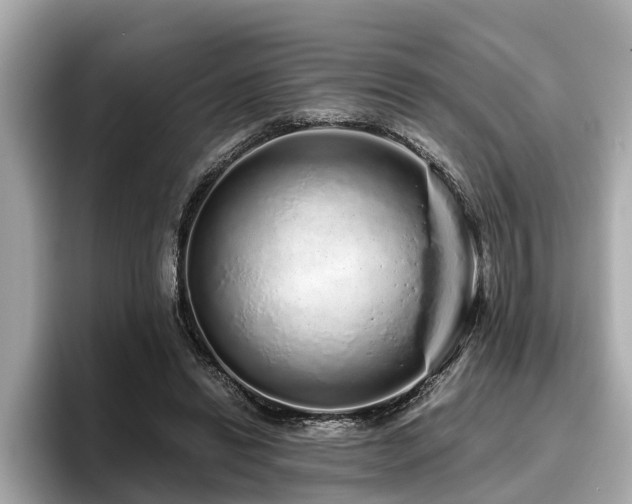 X0000096630446200802051110