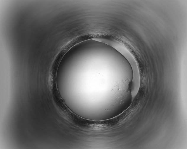 X0000096630448200802051110