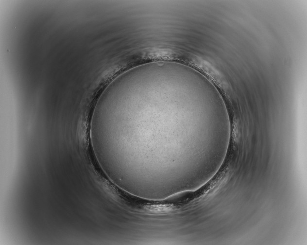 X0000096630449200802051110