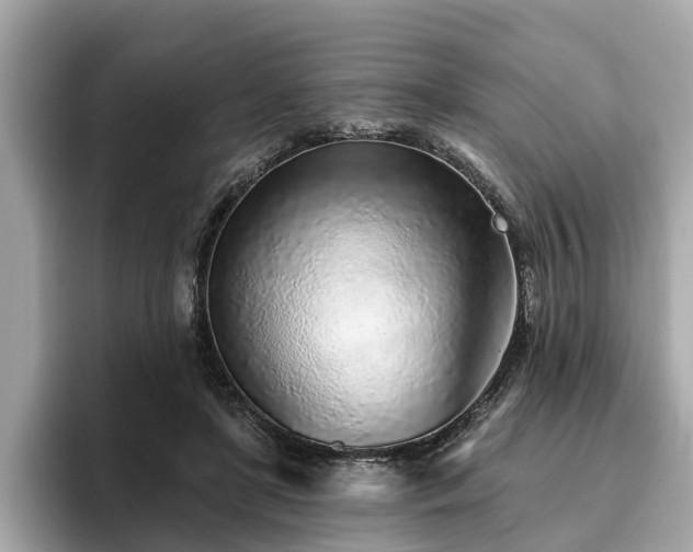 X0000096630451200802051110