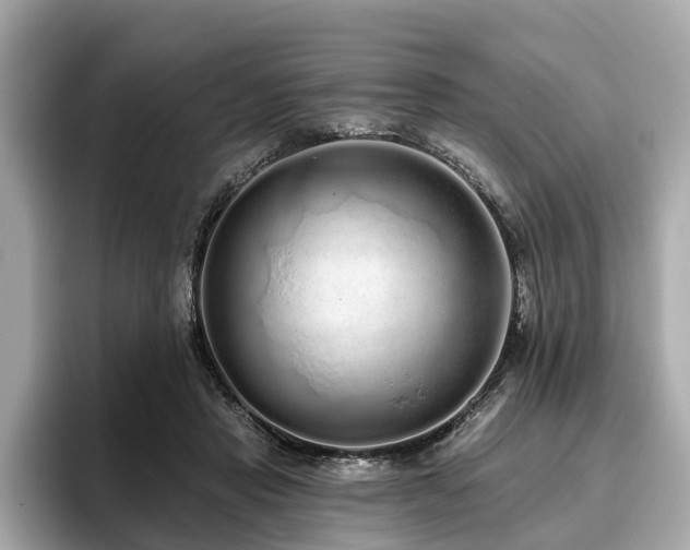 X0000096630453200802051110