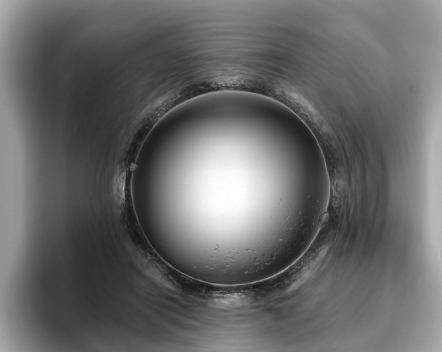 X0000096630454200802051110