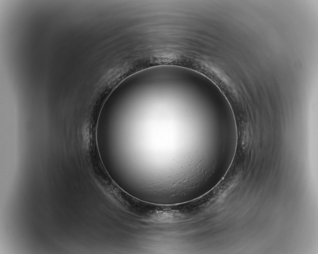 X0000096630455200802051110