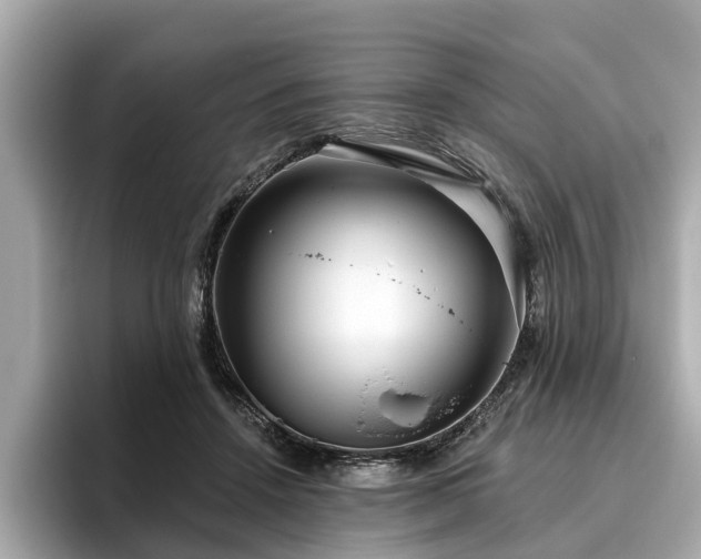 X0000096630456200802051110
