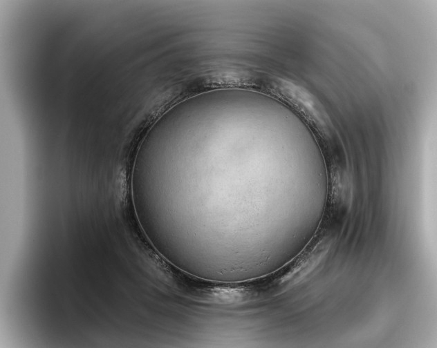 X0000096630457200802051110