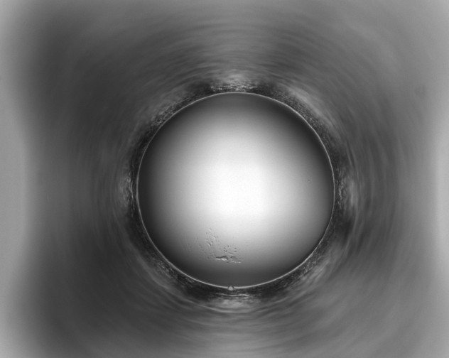 X0000096630459200802051110
