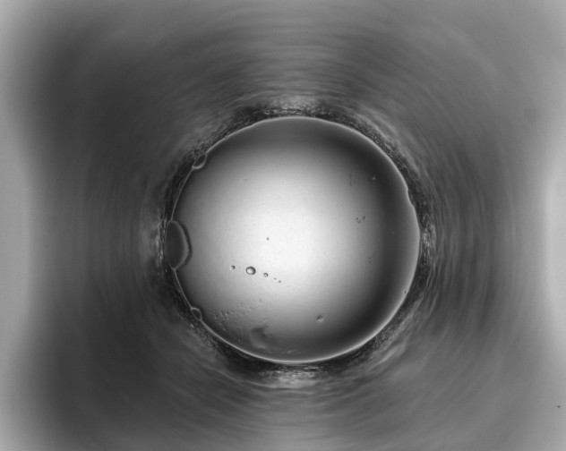 X0000096630462200802051111